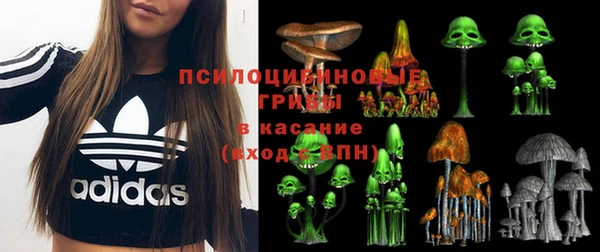 первитин Володарск