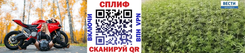 МАРИХУАНА конопля  Суровикино 